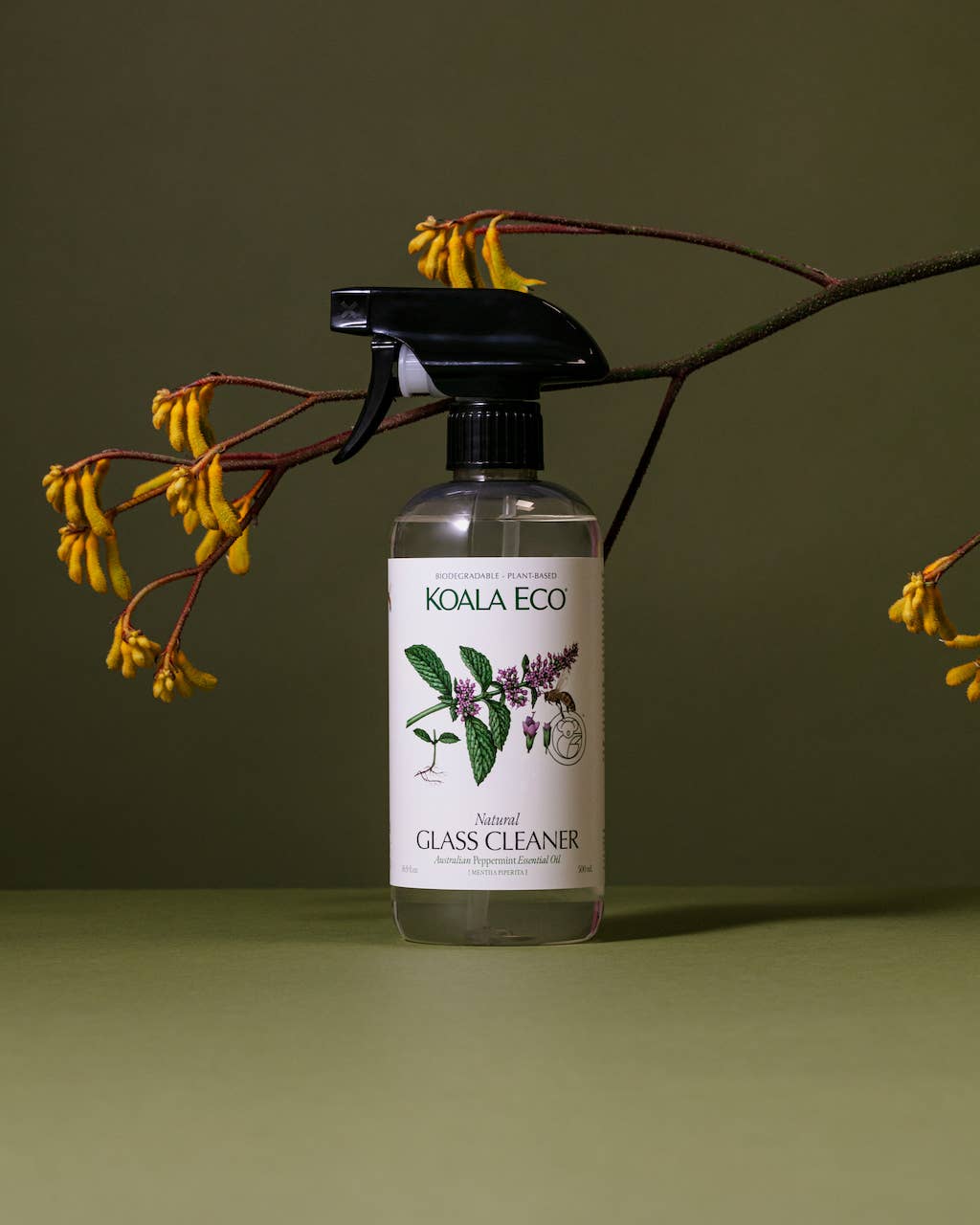 Glass Cleaner